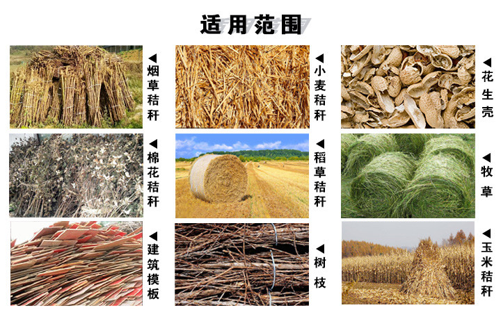 煙桿顆粒機(jī)原料：煙草秸稈、玉米秸稈、小麥秸稈等